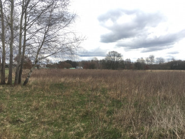 Działka Sprzedaż Goleniów