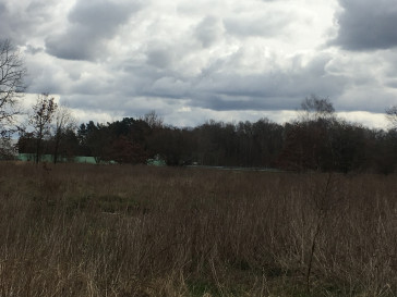 Działka Sprzedaż Goleniów