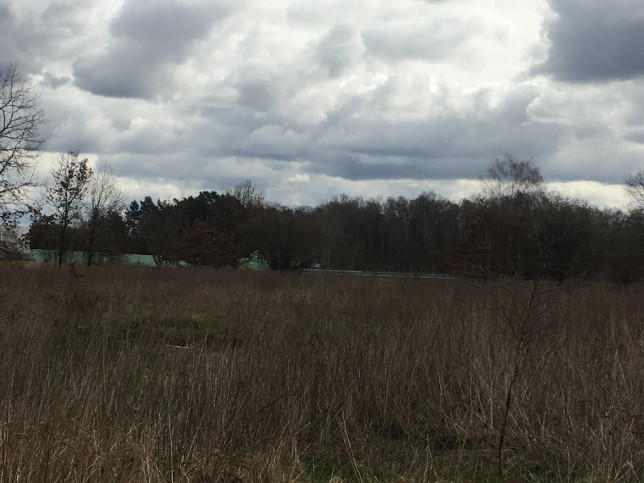 Działka Sprzedaż Goleniów 5