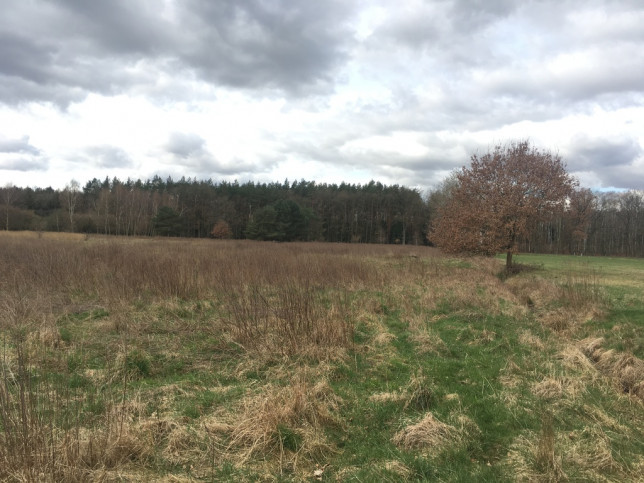 Działka Sprzedaż Goleniów 6