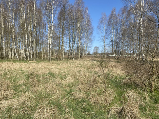 Działka Sprzedaż Goleniów 4