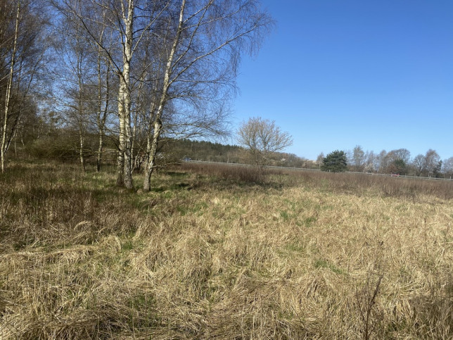 Działka Sprzedaż Goleniów 5