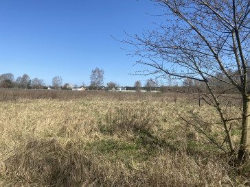 Działka Sprzedaż Goleniów
