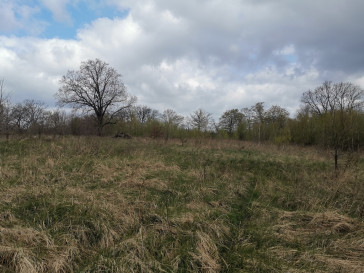 Działka Sprzedaż Radzanek