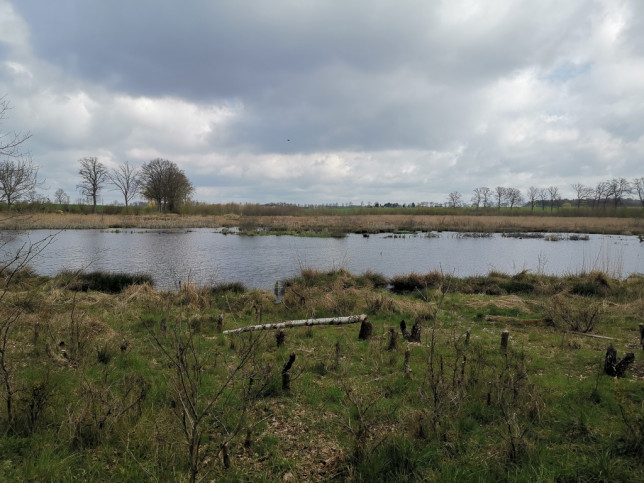 Działka Sprzedaż Radzanek 12