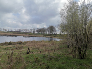 Działka Sprzedaż Radzanek