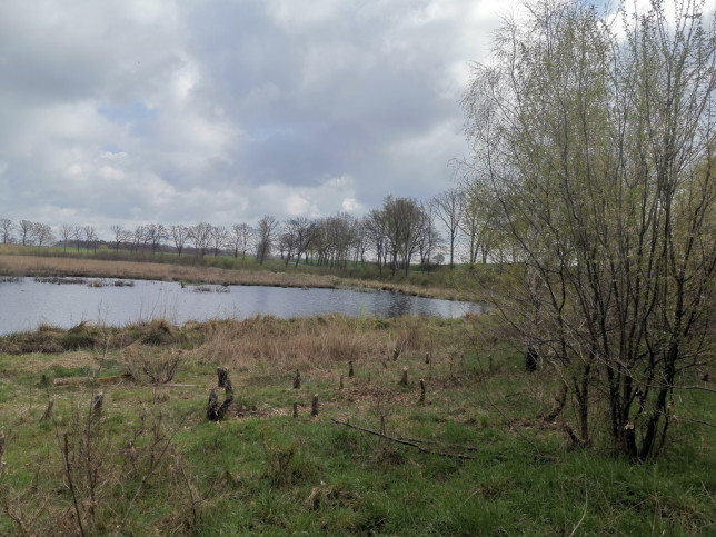 Działka Sprzedaż Radzanek 13