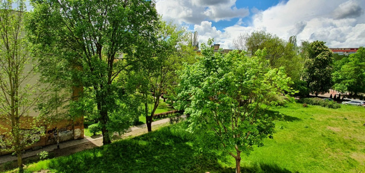 Mieszkanie Sprzedaż Szczecin Centrum 9