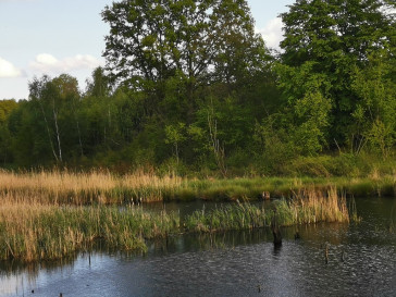 Działka Sprzedaż Radzanek