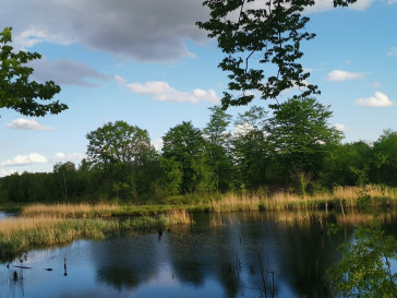 Działka Sprzedaż Radzanek