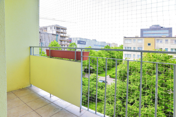 Mieszkanie Wynajem Szczecin Centrum Jacka Malczewskiego 6