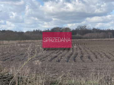 Działka Sprzedaż Szczecin Sławociesze