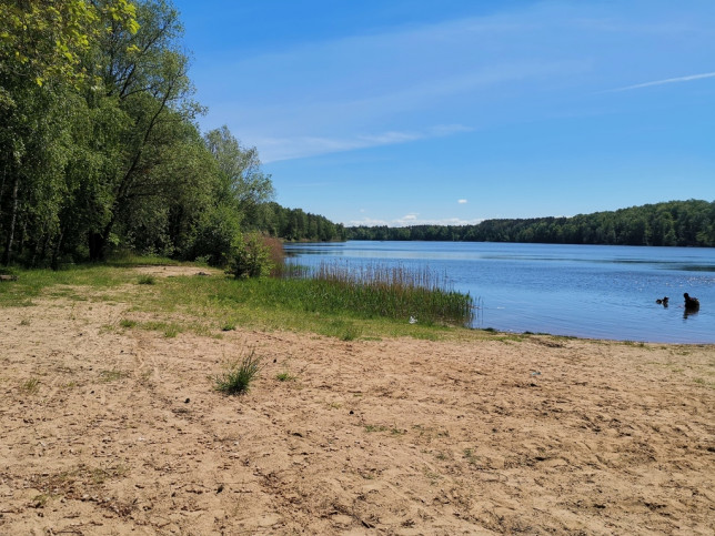 Działka Sprzedaż Czarnogłowy 6