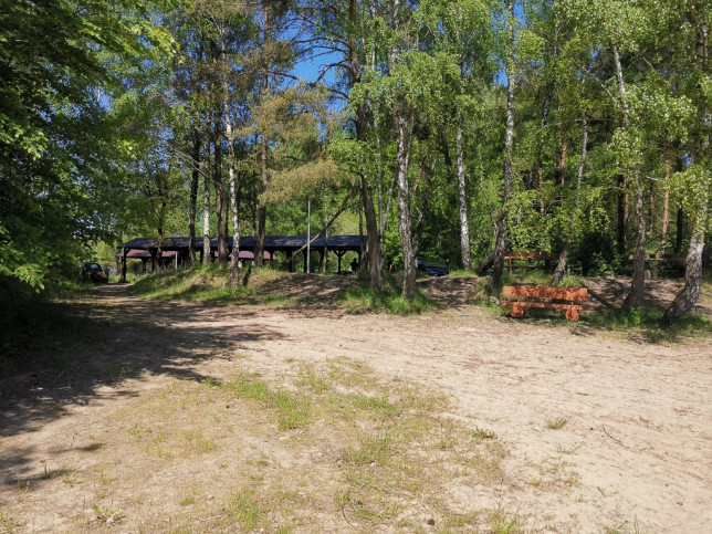 Działka Sprzedaż Czarnogłowy 7