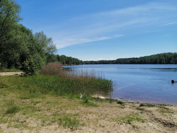 Działka Sprzedaż Czarnogłowy