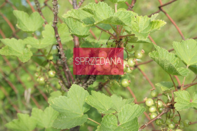 Mieszkanie Sprzedaż Szczecin Pogodno św. Stanisława Kostki