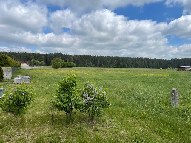 Działka Sprzedaż Kąty 6