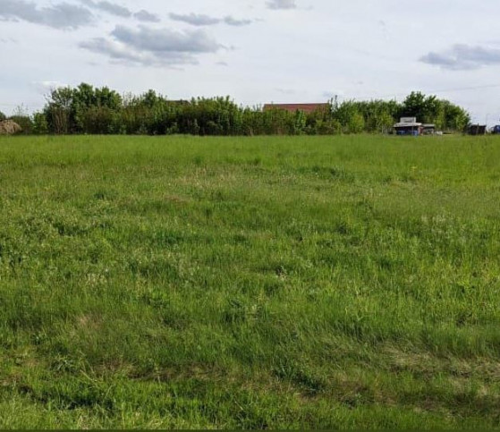 Działka Sprzedaż Budno 1