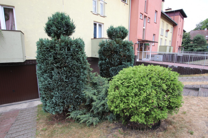 Mieszkanie Sprzedaż Szczecin Golęcino Grochowa 3
