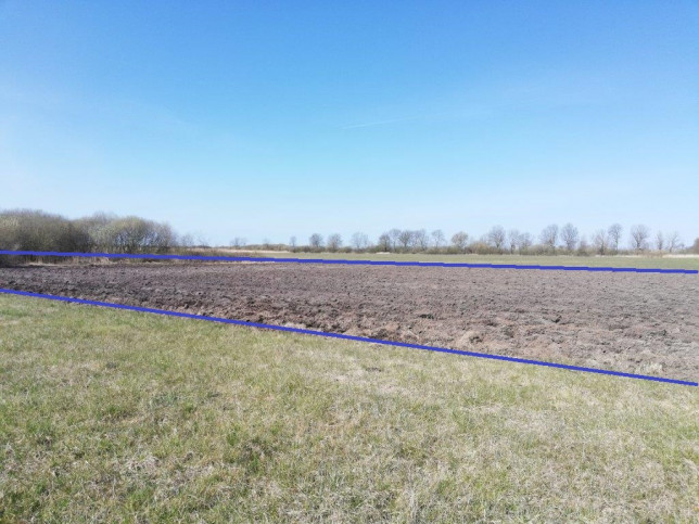 Działka Sprzedaż Wierzbno 2