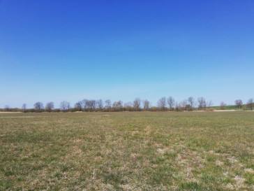 Działka Sprzedaż Wierzbno