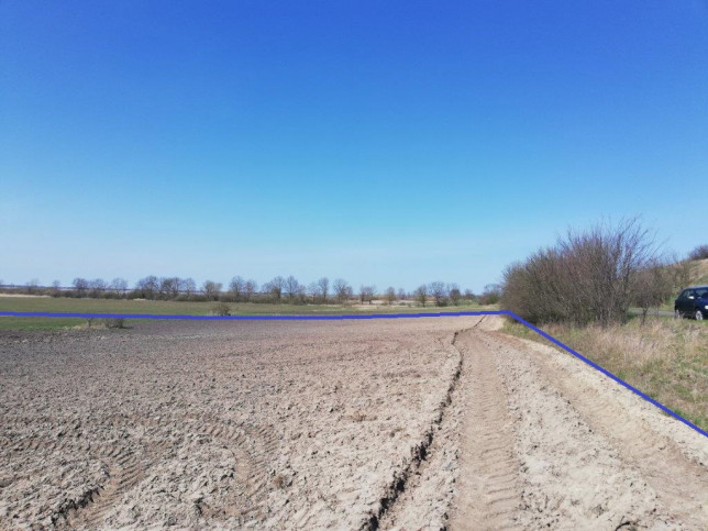 Działka Sprzedaż Wierzbno 8