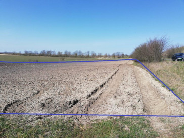 Działka Sprzedaż Wierzbno