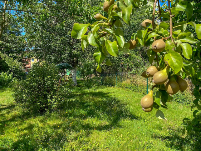 Mieszkanie Sprzedaż Przybiernów 9