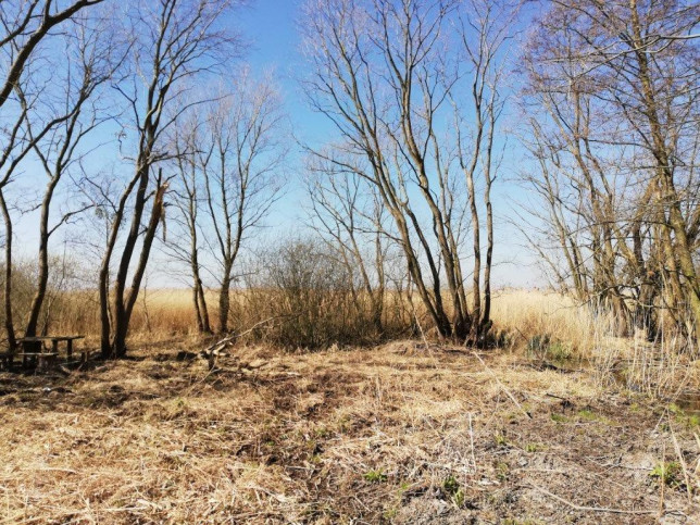 Działka Sprzedaż Kunowo 3