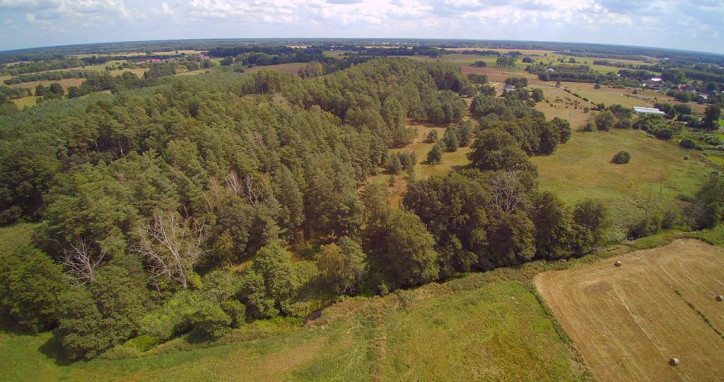 Działka Sprzedaż Dzisna Pod lasem 19