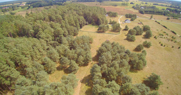 Działka Sprzedaż Dzisna 6