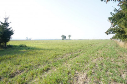 Działka Sprzedaż Kościuszki