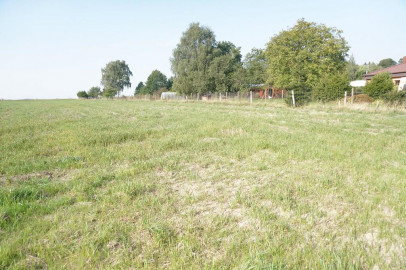 Działka Sprzedaż Kościuszki