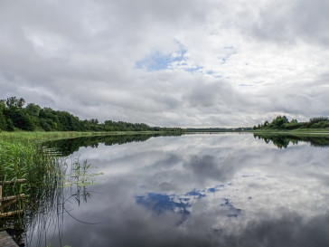 Działka Sprzedaż Wełtyń