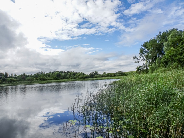 Działka Sprzedaż Wełtyń 15