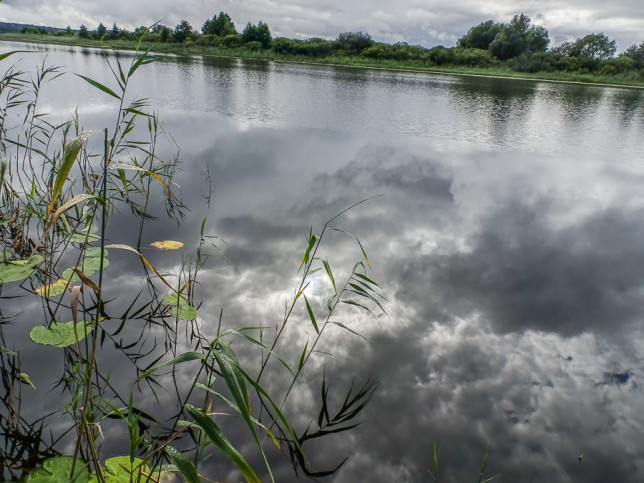Działka Sprzedaż Wełtyń 2