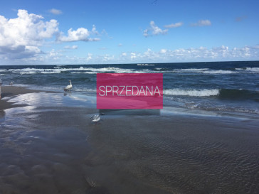 Działka Sprzedaż Zastań