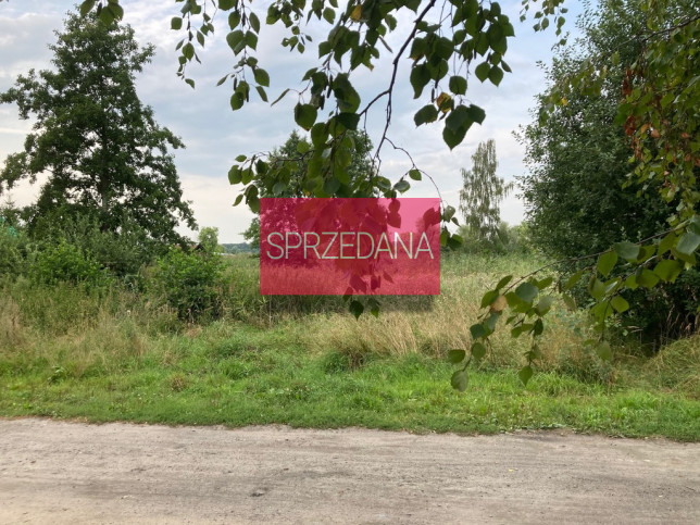 Działka Sprzedaż Zastań 4