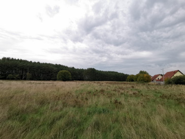 Działka Sprzedaż Brzózki