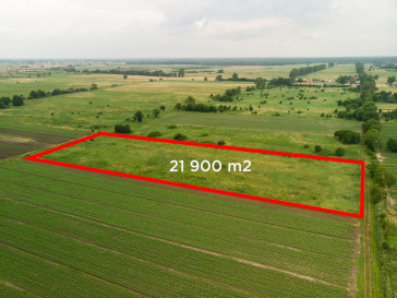 Działka Sprzedaż Rurzyca