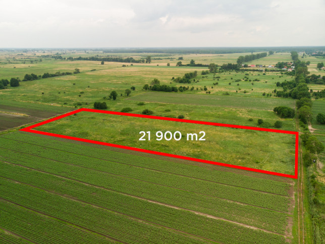 Działka Sprzedaż Rurzyca 3