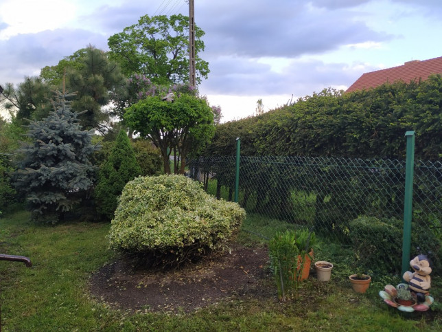 Dom Sprzedaż Korytowo 14