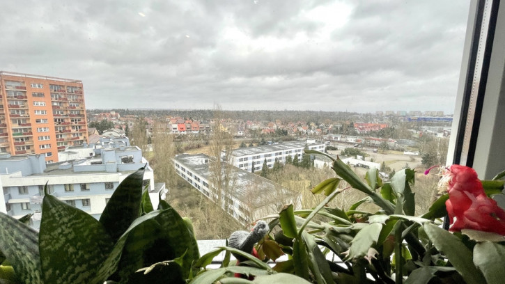 Mieszkanie Sprzedaż Szczecin Gumieńce Antoniego Ledóchowskiego 8