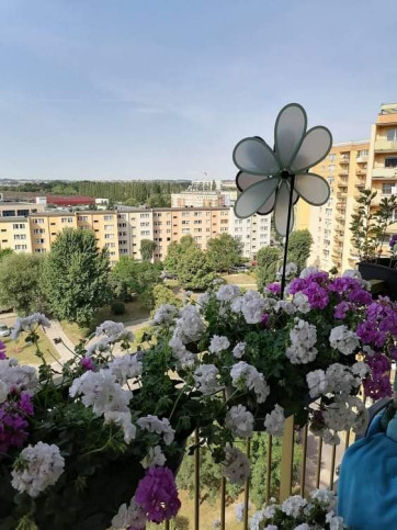 Mieszkanie Sprzedaż Szczecin Gumieńce Antoniego Ledóchowskiego 19
