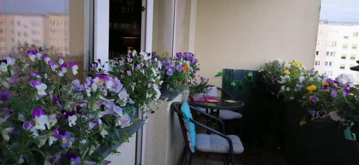 Mieszkanie Sprzedaż Szczecin Gumieńce Antoniego Ledóchowskiego 20