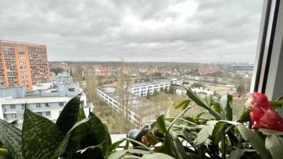 Mieszkanie Sprzedaż Szczecin os. Reda
