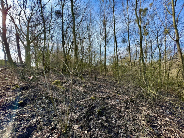 Działka Sprzedaż Szczecin Skolwin 2