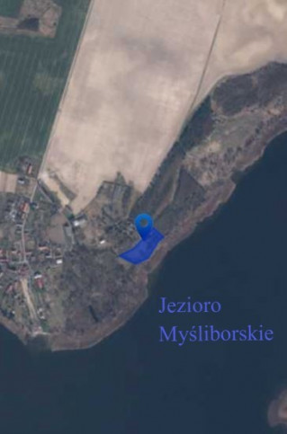 Dom Sprzedaż Kruszwin 12