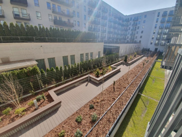 Mieszkanie Wynajem Szczecin Centrum Mariana Langiewicza