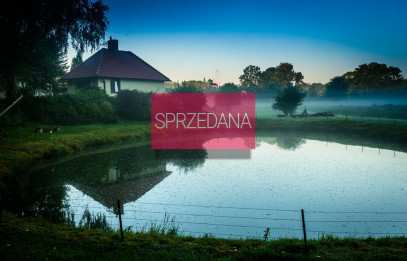 Dom Sprzedaż Goleniów